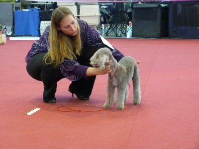 Hundeausstellung Lausanne 